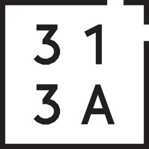 313_logo_square